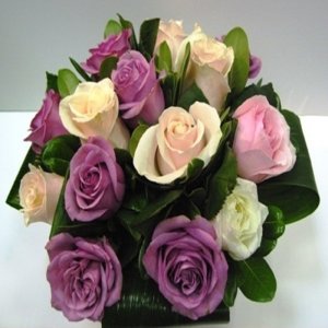 ורדים בצבעים